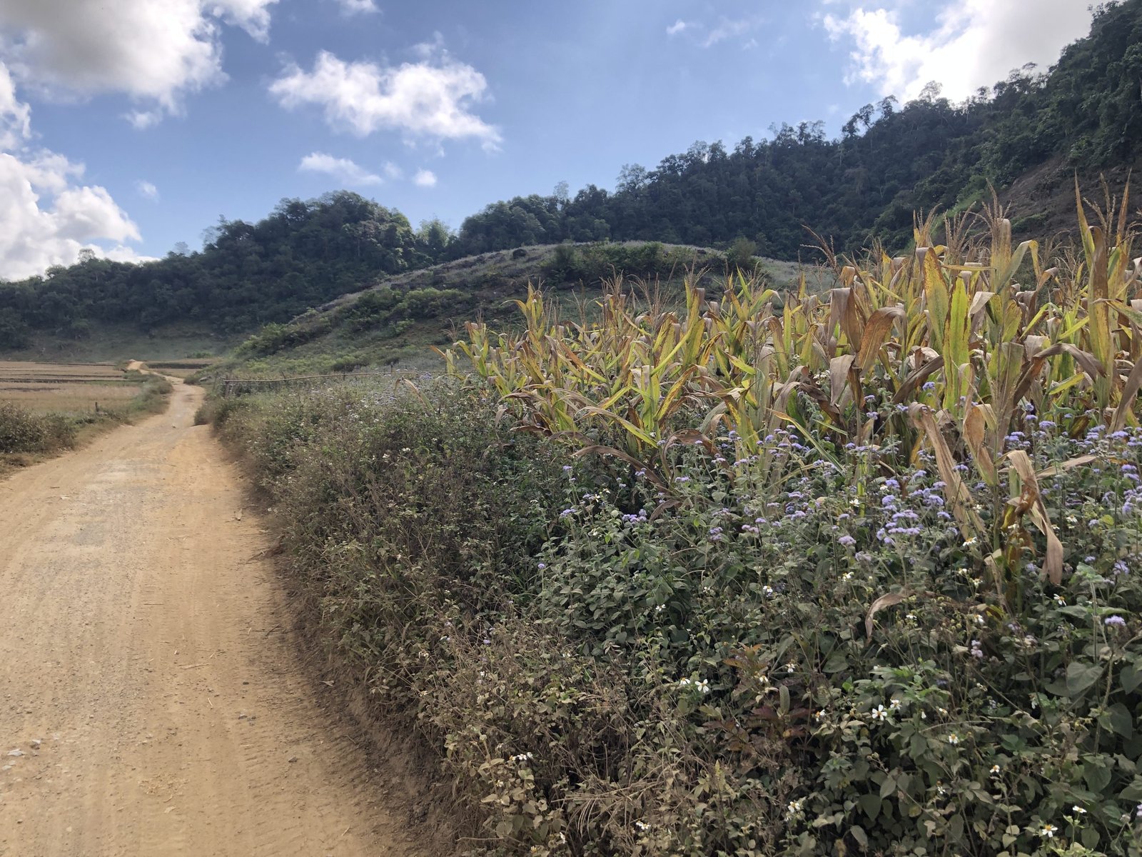 Moc Chau Trail Mountain Bike Tour 6 Days